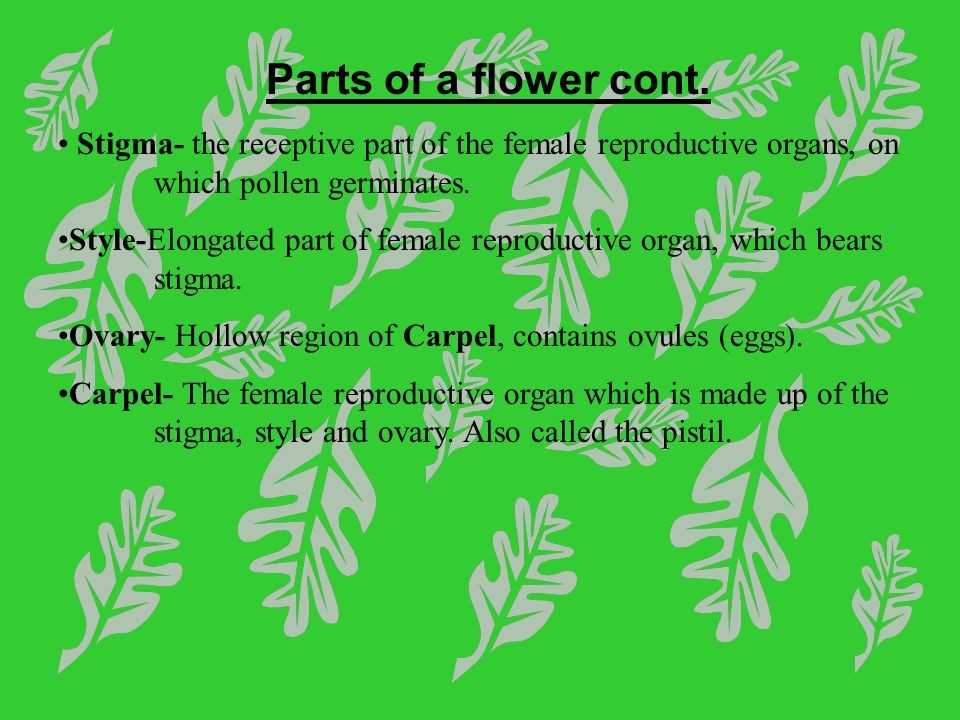 Flower Structure and Reproduction Worksheet Answers with Flower Structure and Reproduction Worksheet Answers Fresh Fill In