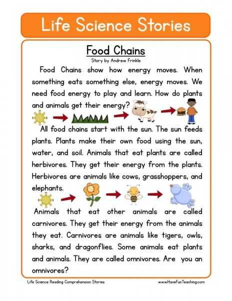 Food Web Worksheet Along with Food Chains …