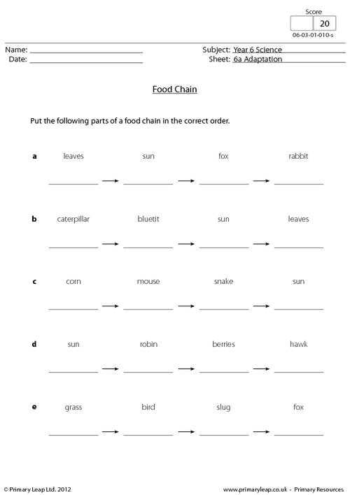 Food Web Worksheet Answer Key Along with A Food Web Worksheet Answers Worksheets for All