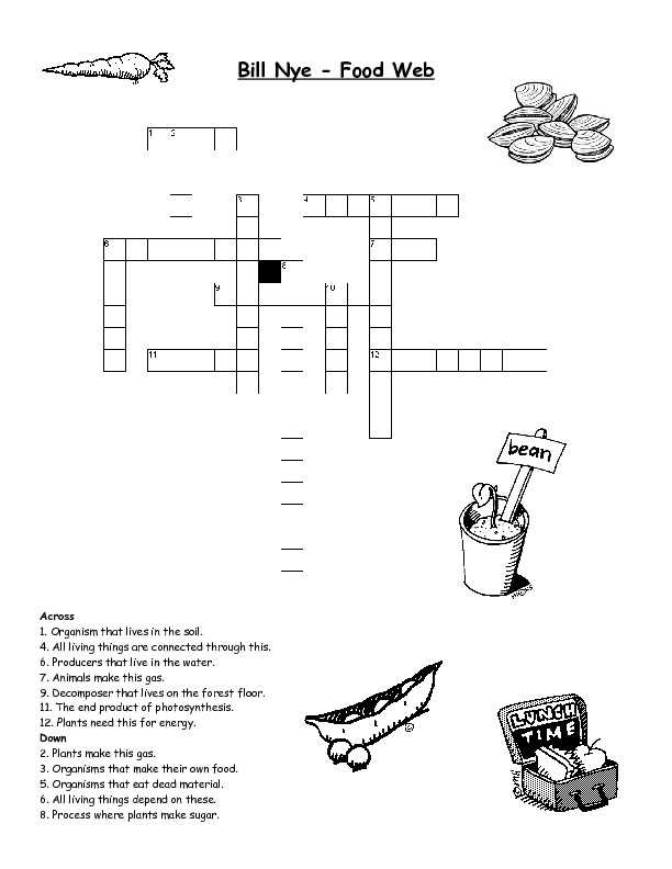 Food Web Worksheet Answer Key Also Food Chains and Food Webs Skills Worksheet Answers Unique 20 Best