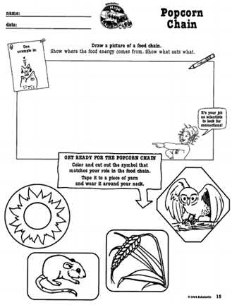 Food Web Worksheet as Well as Here S A Magic School Bus Activity On Food Chains