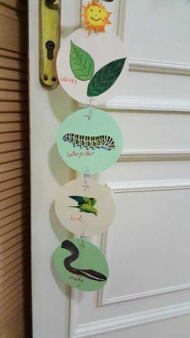 Food Web Worksheet with Food Chain … Science Crafts Pinterest