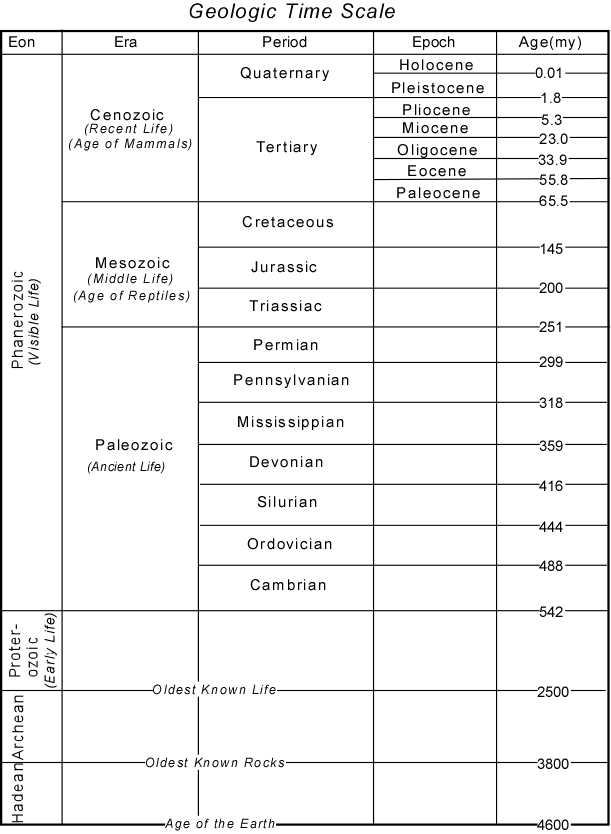 Fossils and Relative Dating Worksheet Also Geologic Time