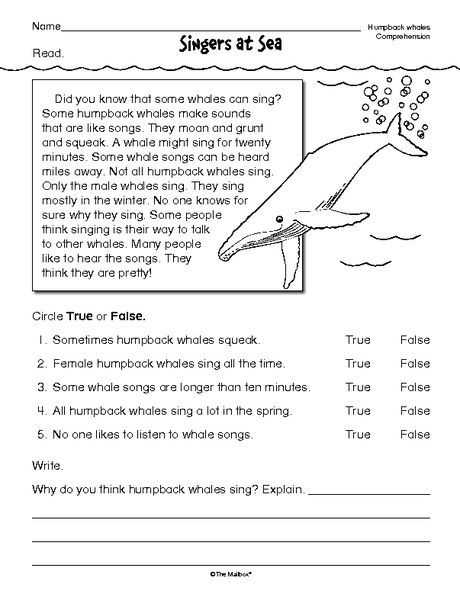 Free 4th Grade Reading Comprehension Worksheets or Reading Prehension Worksheet Nonfiction Whales