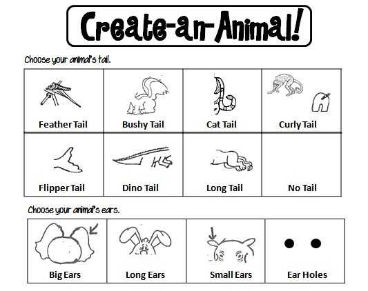 Free Animal Classification Worksheets Also 20 Best Animals Images On Pinterest