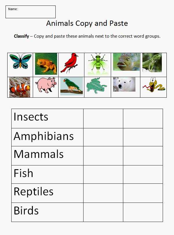 Free Animal Classification Worksheets together with 51 Best Biology Instructional Materials Images On Pinterest