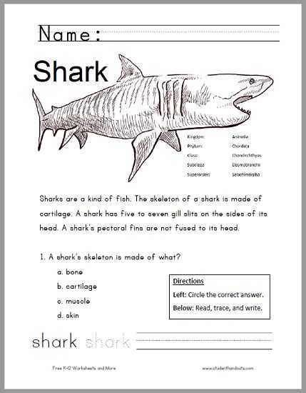 Free Animal Classification Worksheets with Free Printable Shark Worksheet for Grades 1 3 Kids Read the