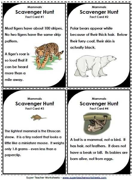 Free Animal Classification Worksheets with Scavenger Hunts Make Learning About Animal Classifications Fun