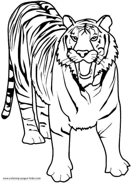 Free Printable Children's Bible Lessons Worksheets together with Colouring Book Tiger