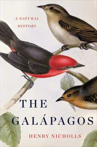 Galapagos island Finches Worksheet Along with 18 Best Charles Darwin Finches Images On Pinterest