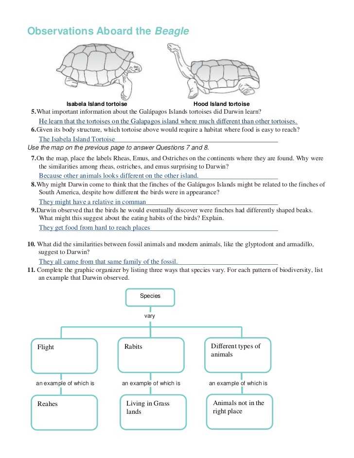 Galapagos island Finches Worksheet with Chapter 16 Worksheets