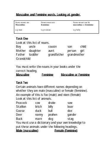 Gender Of Nouns In Spanish Worksheet with Exercises 16