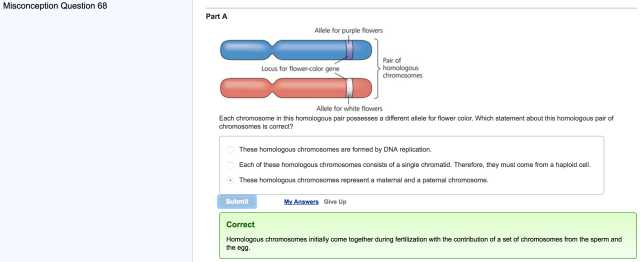 Gene and Chromosome Mutation Worksheet or Chapter 14 Homework – Mastering Biology – Rhs Homework