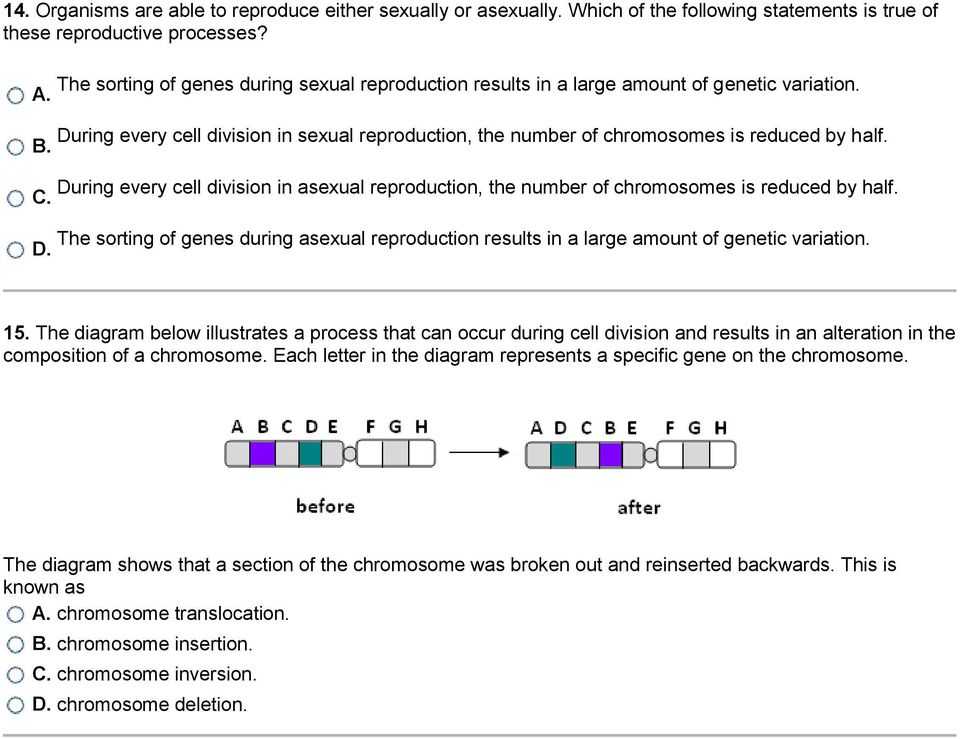 Gene and Chromosome Mutation Worksheet with Mutations and Genetic Variability 1 What is Occurring In the