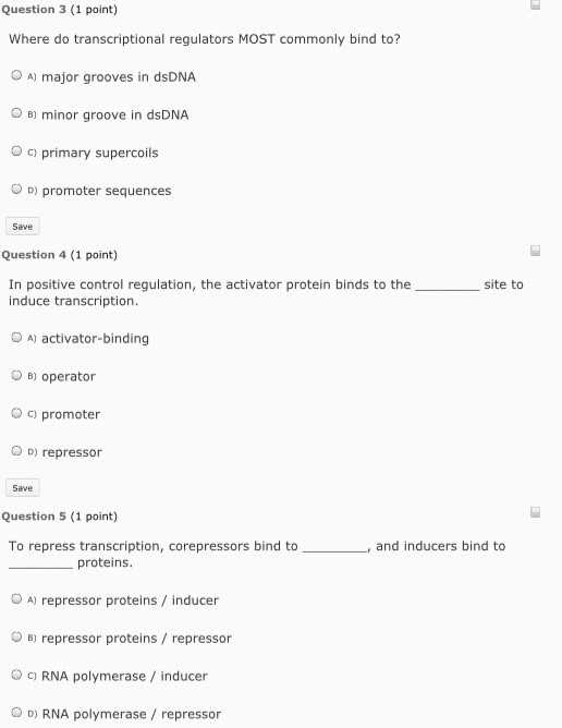 Gene Regulation and Expression Worksheet Answers and 36 New S Control Gene Expression In Prokaryotes Worksheet