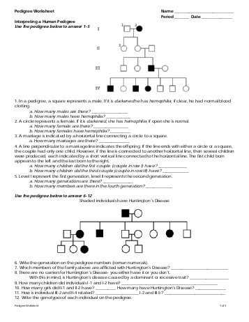 Genetics Pedigree Worksheet Answer Key as Well as Pedigrees Worksheet Worksheets for All