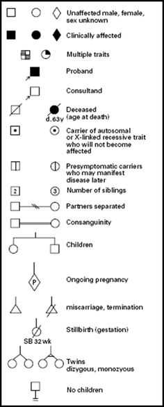 Genetics Pedigree Worksheet as Well as Chart Illnesses or Genetic Traits Among Siblings Half Siblings