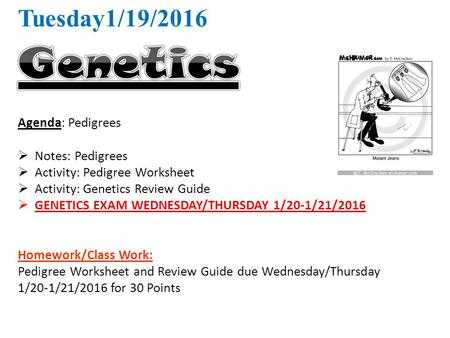 Genetics Pedigree Worksheet as Well as Human Genetic Pedigrees Ppt