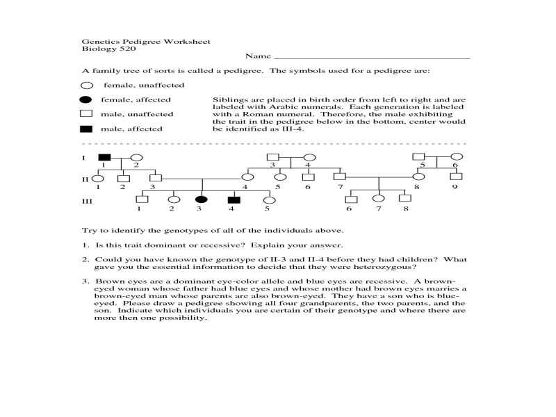 Genetics Pedigree Worksheet Key as Well as Genetics Pedigree Worksheet