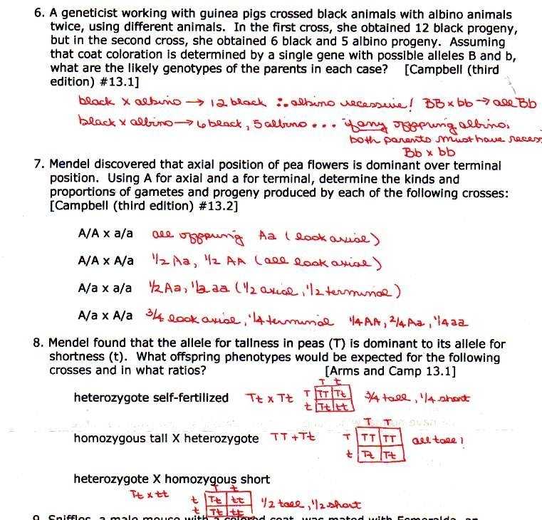 Genetics Practice Problems Worksheet Answers Along with Codominance Worksheet Blood Types Answers Switchconf Multiple