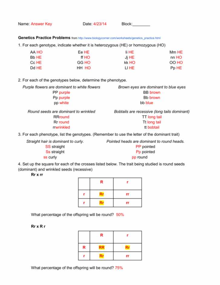 Genetics Practice Problems Worksheet Answers Along with Genotype and Phenotype Worksheet Choice Image Worksheet Math for Kids