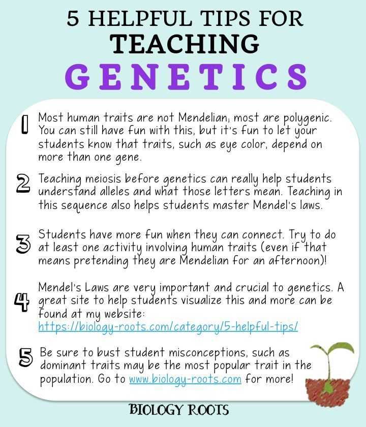 Genetics Worksheet Answers or 5 Helpful Tips for Teaching Genetics