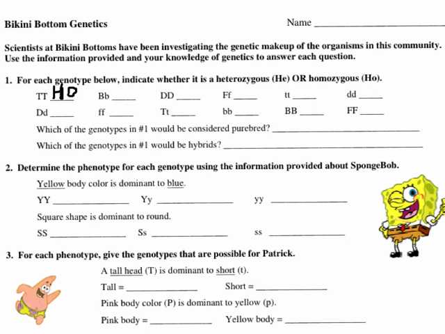 Genetics Worksheet Answers together with Bikini Bottom Genetics Worksheet