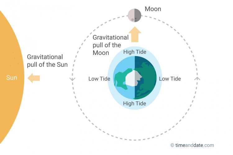 Graphing the Tides Worksheet Answers Also the Moon Causes Tides On Earth