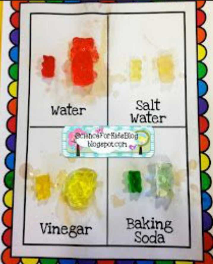 Gummy Bear Science Experiment Worksheet and Ok Cool Science Projects for Kids Science Fair