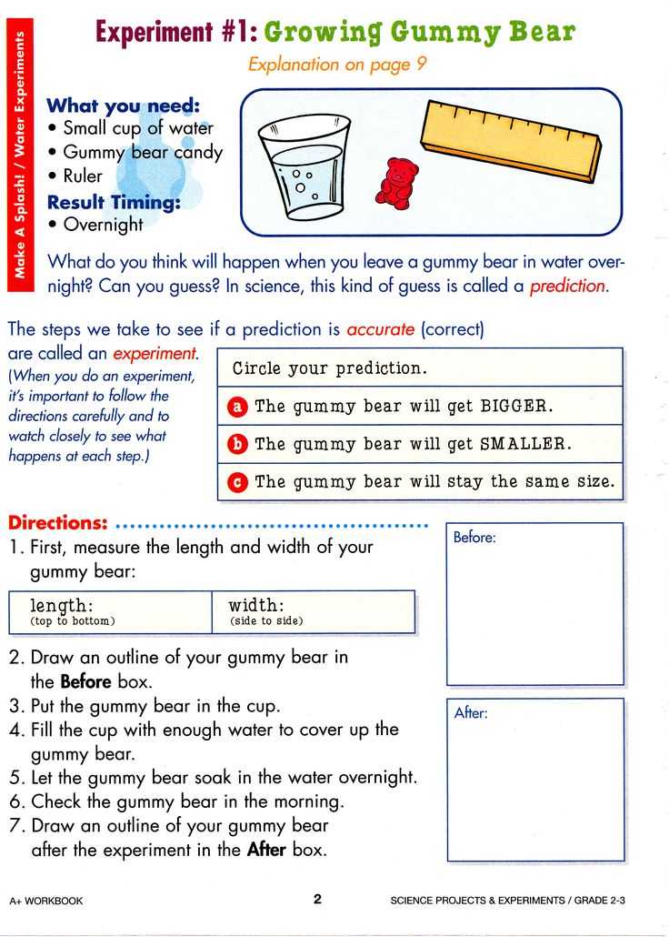 Gummy Bear Science Experiment Worksheet as Well as 75 Best Candy Experiments Images On Pinterest