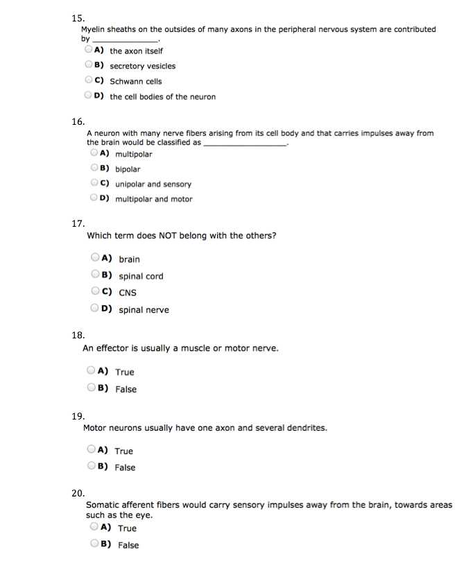 Holt Biology Cells and their Environment Skills Worksheet Answers Along with Ziemlich Anatomy and Physiology Chapter 3 Test Review Galerie