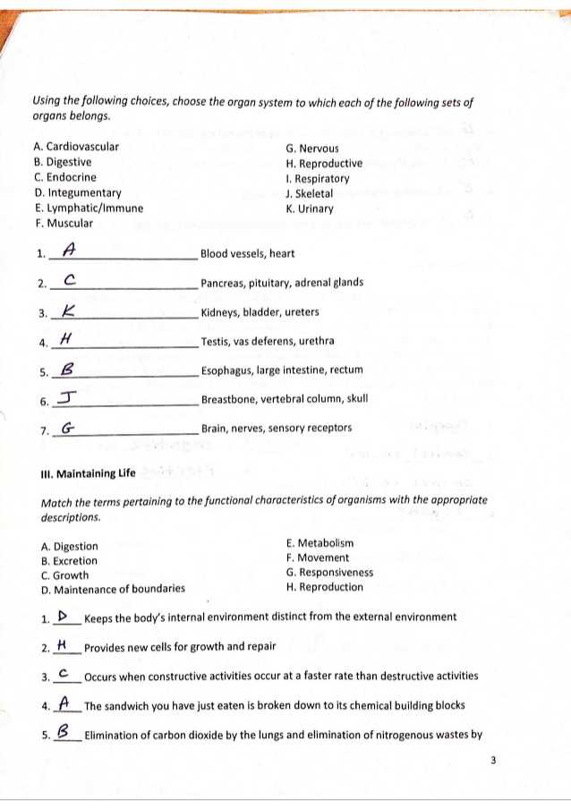 Holt Biology Cells and their Environment Skills Worksheet Answers Also Ziemlich Anatomy and Physiology Chapter 3 Test Review Galerie