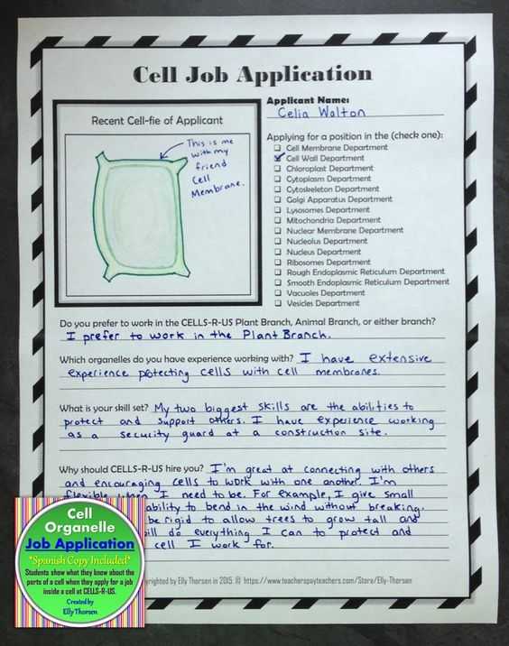 Holt Biology Cells and their Environment Skills Worksheet Answers as Well as 75 Best Cells Images On Pinterest