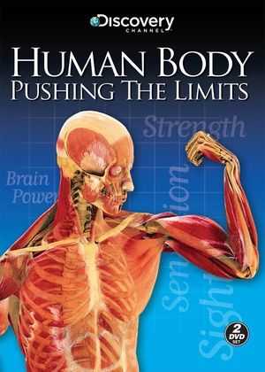 Human Body Pushing the Limits Brain Power Worksheet Answers with 42 Best Cells within Images On Pinterest