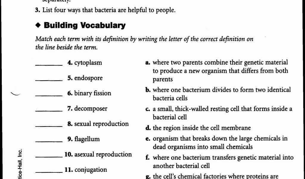 Infectious Disease Worksheet Middle School or Excel Spreadsheet Training Free or Excel Primary School Activity