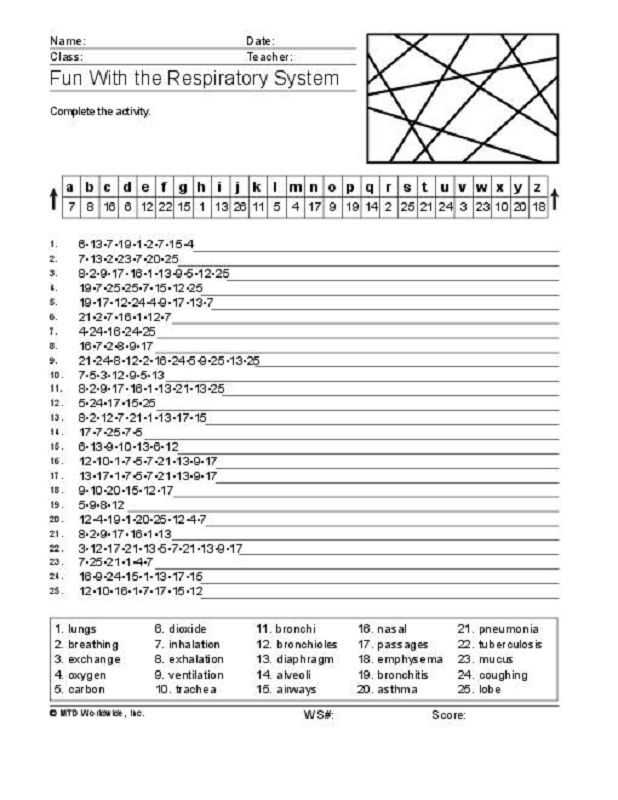 Integrated Science Cycles Worksheet Answer Key with Respiratory System Crossword Puzzle that You Can and Print
