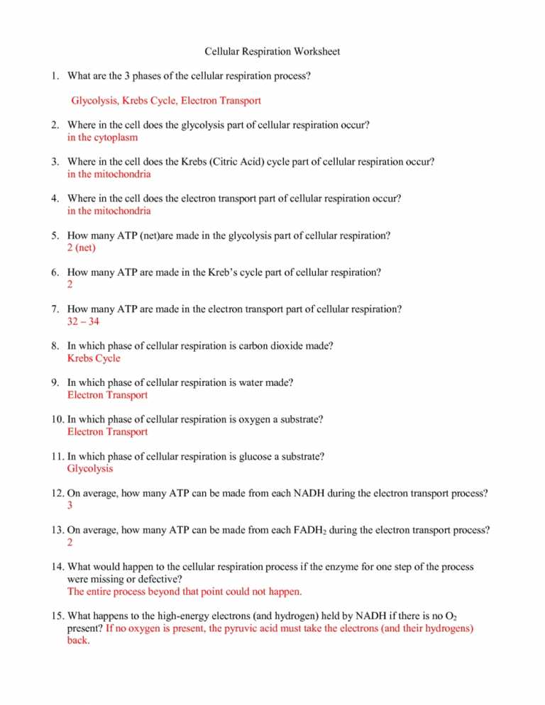 Integrated Science Cycles Worksheet Answer Key with Worksheets 49 Beautiful Cell Membrane Coloring Worksheet Answers Hd