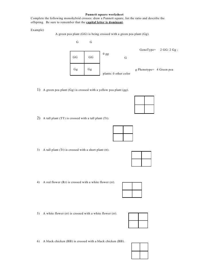 Introduction to Biotechnology Worksheet Answers with Chapter 11 Introduction to Genetics Worksheet Answers Lovely Biology