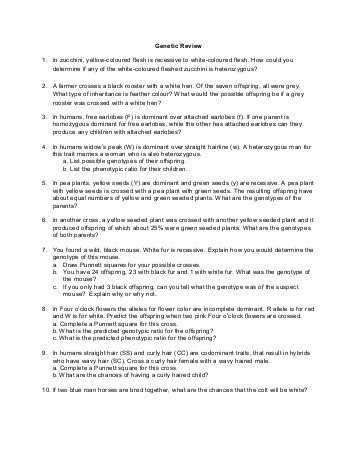 Ira Deduction Worksheet with In Plete and Codominance Worksheet Answers