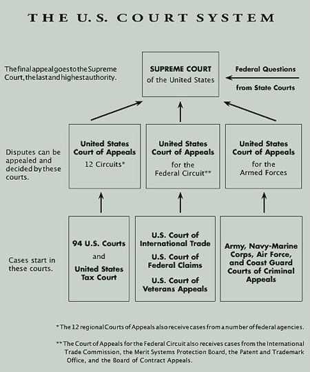 Judicial Branch Worksheet Answers Also 32 Best Judicial Branch Images On Pinterest
