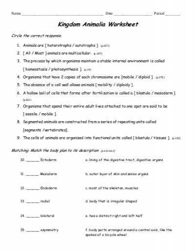 Kingdom Classification Worksheet Answers or 28 Unique Kingdom Classification Worksheet Answers Collection