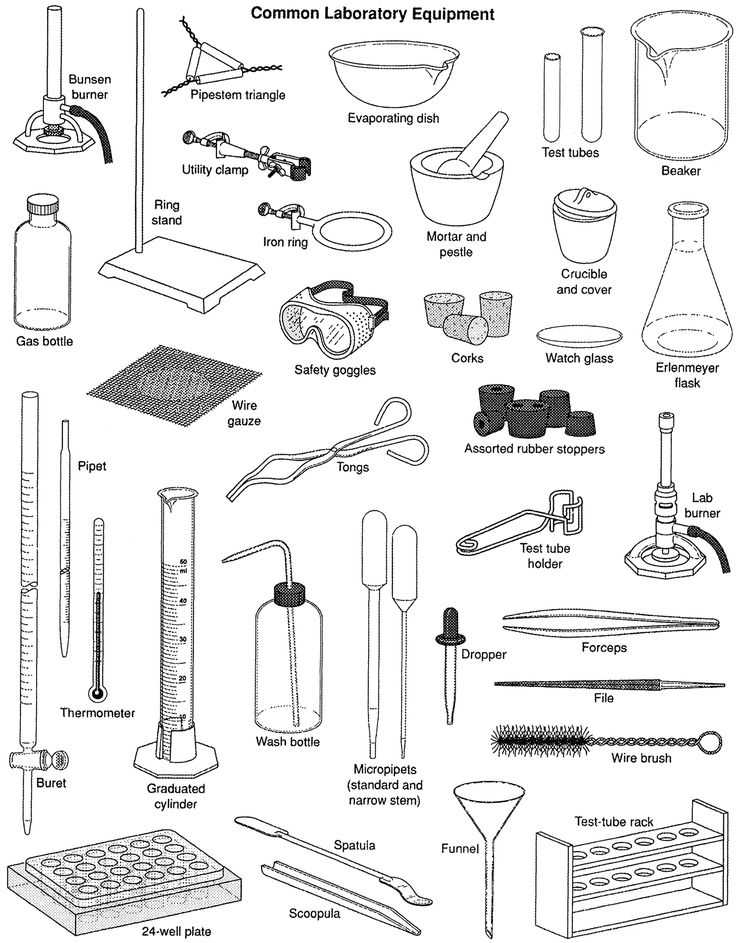 Lab Equipment Worksheet Answers together with Chemistry Lab Drawing at Getdrawings