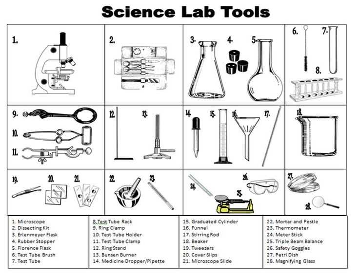 Lab Equipment Worksheet Answers with 132 Best Safety In the Science Lab Images On Pinterest