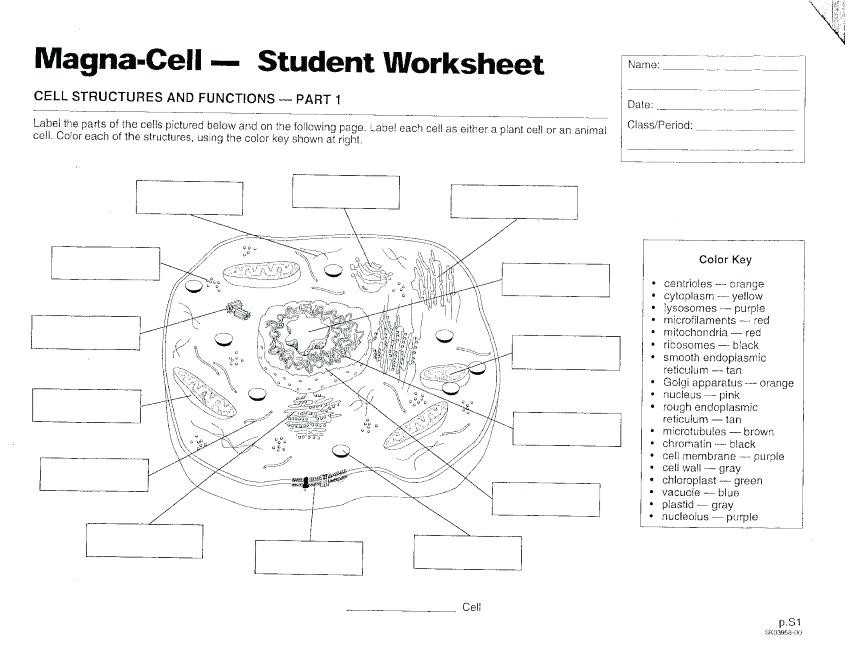 Label Plant Cell Worksheet together with Plant Cell Diagram Worksheet Best Fine for Kindergarten Worksheet