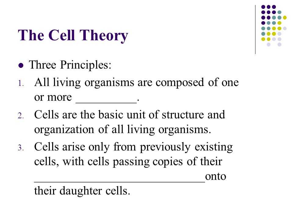 Lesson 7.2 Cell Structure Worksheet Answers with Chapter 7 Cellular Structure & Function Ppt Video Online