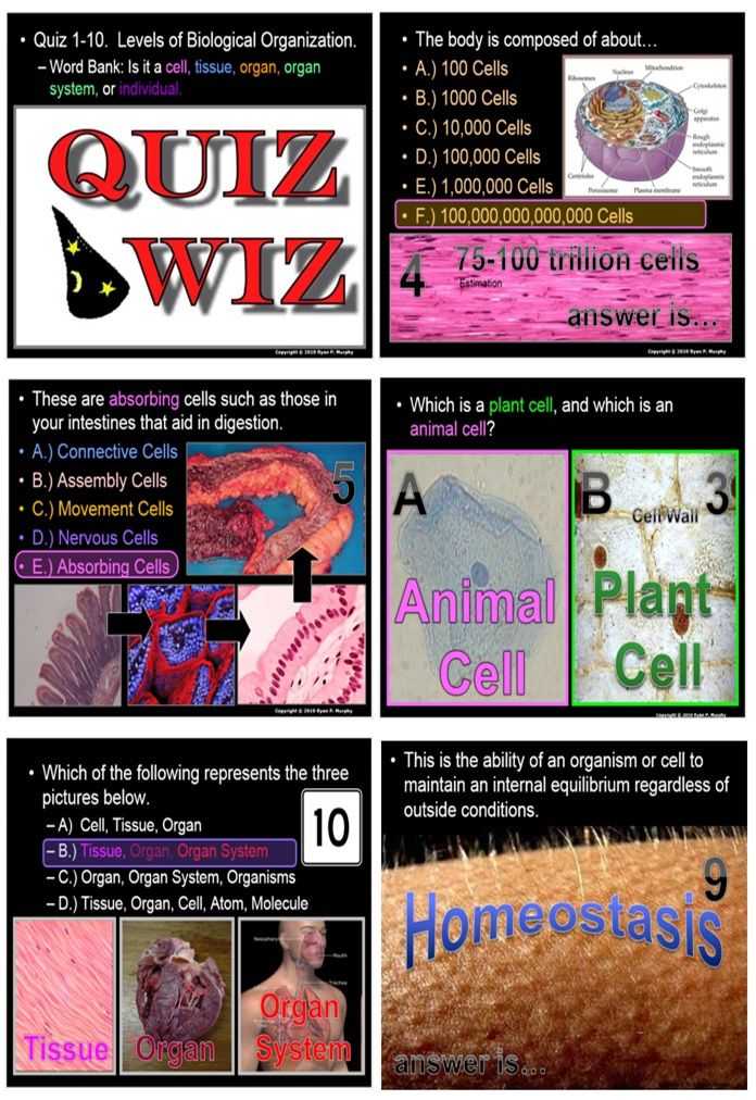 Levels Of Biological organization Worksheet Also 57 Best Unit 5 Cells Images On Pinterest