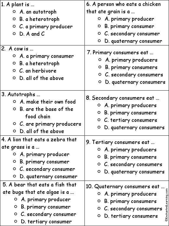 Like Kind Exchange Worksheet with Food Chain Quiz Worksheet Worksheets for All