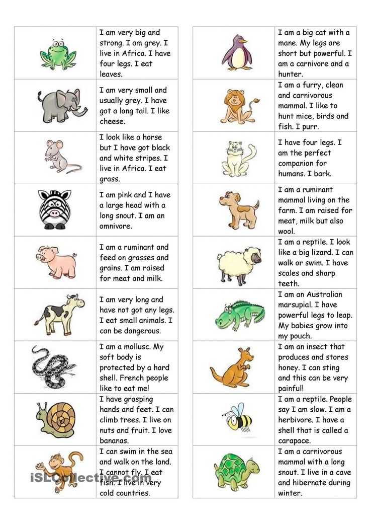 Los Animales Printable Worksheets and 15 Best Animales Images On Pinterest