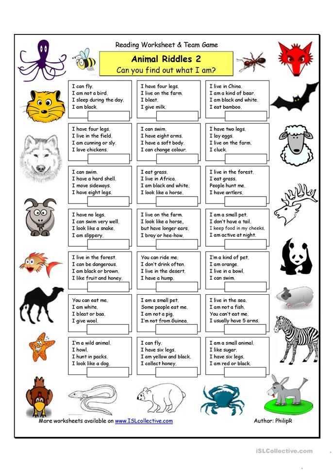 Los Animales Printable Worksheets as Well as Animal Riddles 2 Medium