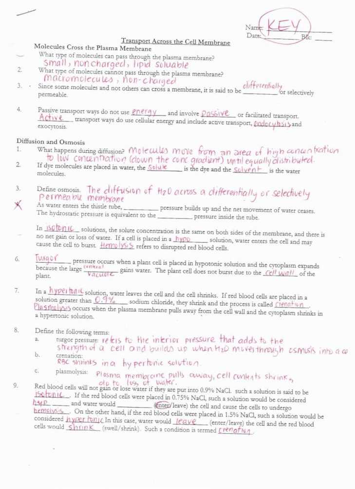 Macromolecules Worksheet Answer Key and Awesome Cell Membrane Coloring Worksheet Awesome Emejing Cell